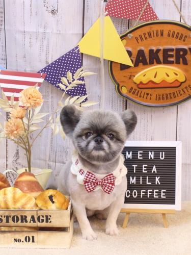 20240906リムルくん 